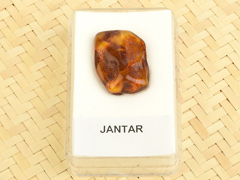 Amber from Lithuania in a box (1.8g)