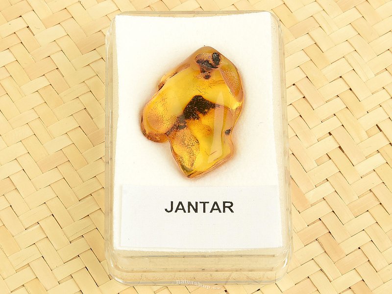 Amber from Lithuania in a box (2.6g)