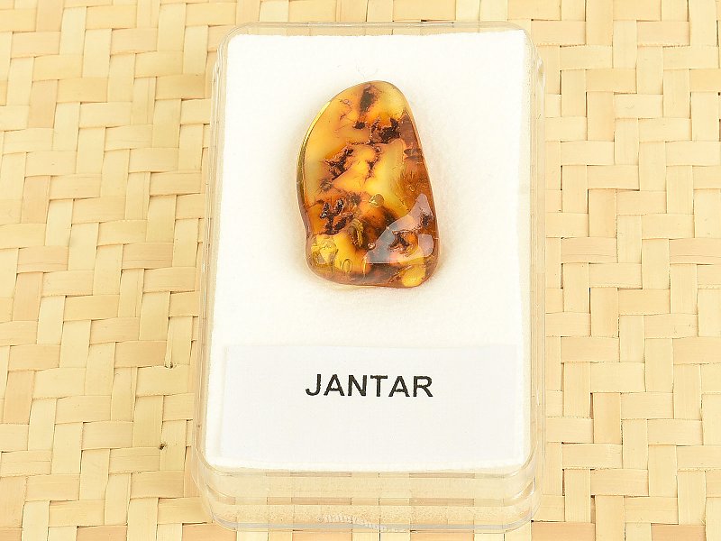 Amber in a box 1.6g (Lithuania)