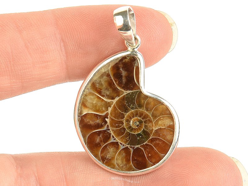 Ammonite pendant silver Ag 925/1000 4.1g