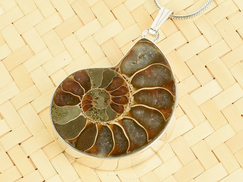 Ammonite pendant silver Ag 925/1000 7.0g