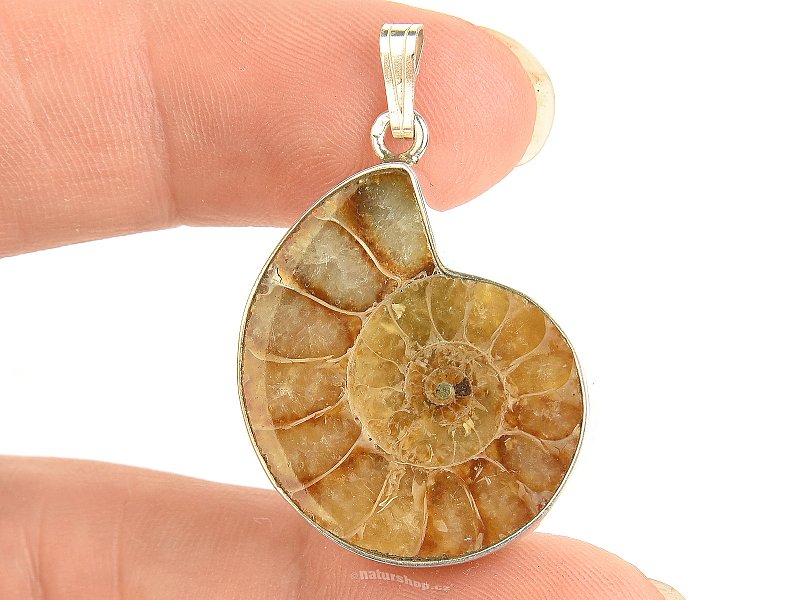 Ammonite pendant silver Ag 925/1000 6.5g