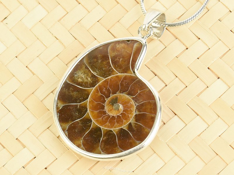 Ammonite pendant silver Ag 925/1000 5.9g