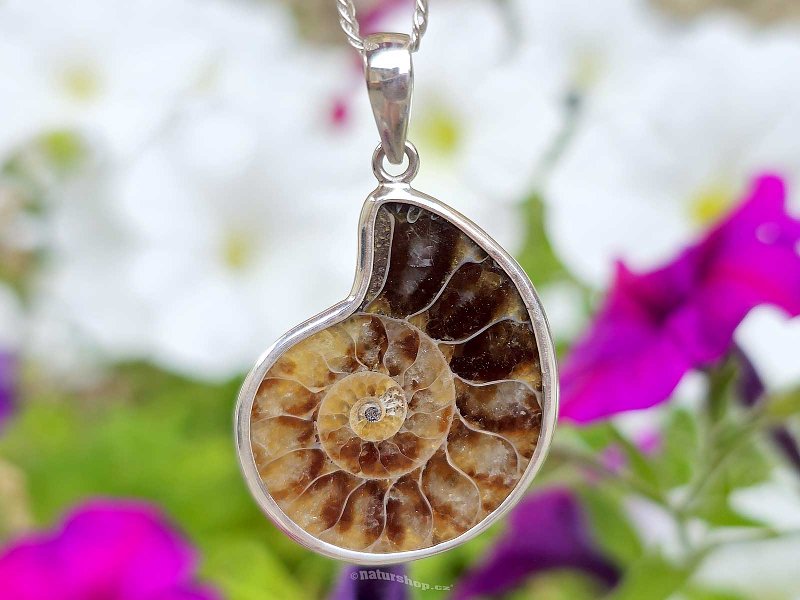 Ammonite silver pendant Ag 925/1000 5.3g