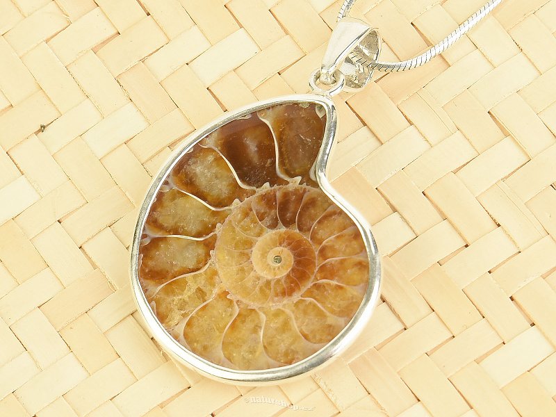 Ammonite pendant silver Ag 925/1000 5.5g