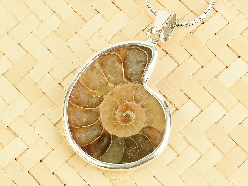 Ammonite pendant silver Ag 925/1000 4.2g
