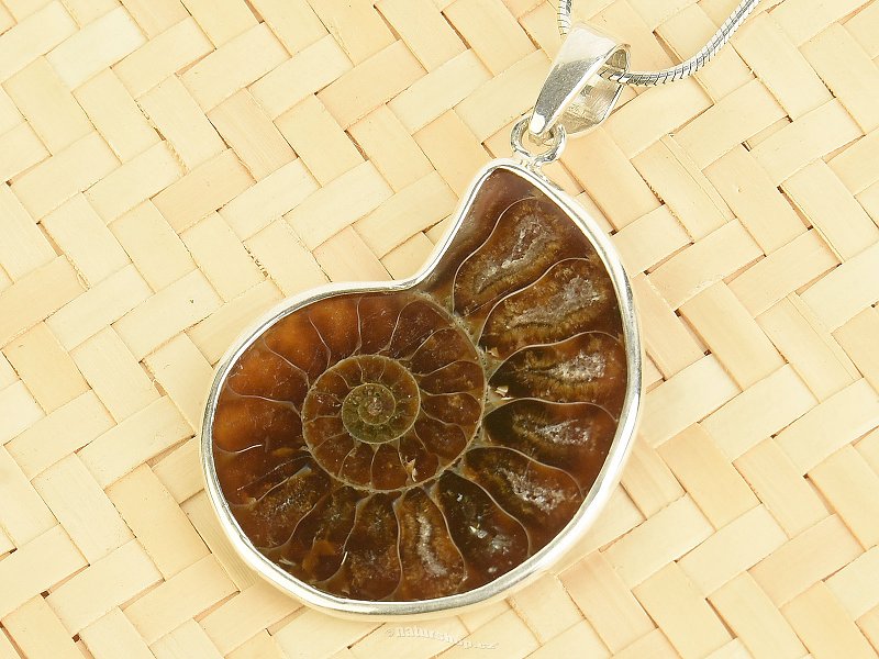 Ammonite pendant silver Ag 925/1000 4.9g