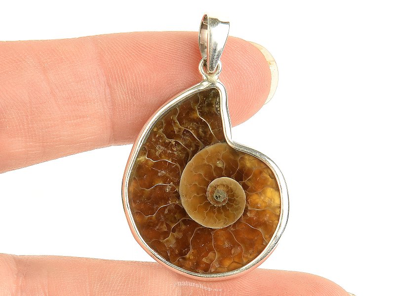 Ammonite silver pendant Ag 925/1000 4.1g