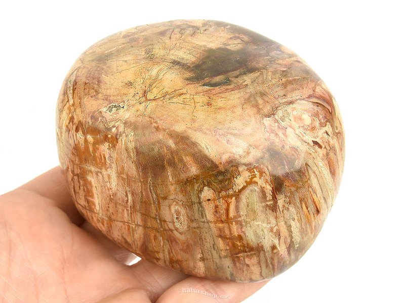 Zkamenělé dřevo extra velké (Madagaskar) 657g