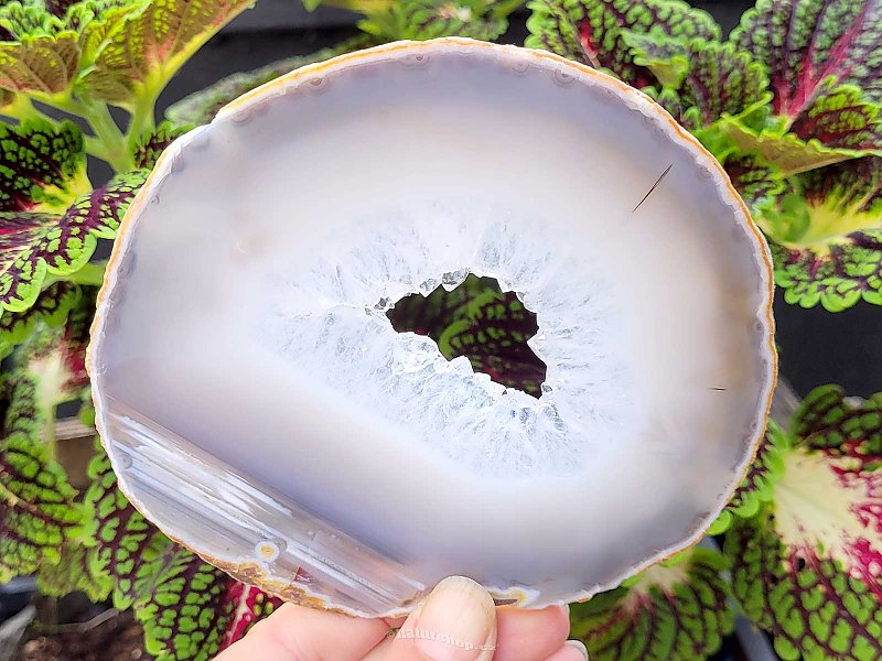Agate slice with core from Brazil 170g