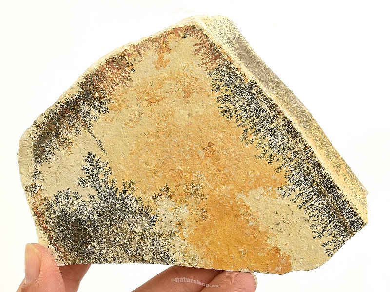 Limestone with dendrites (Solnhofen) 426g