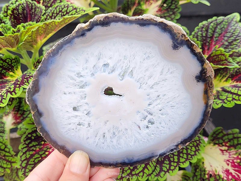 Agate slice with core from Brazil 179g