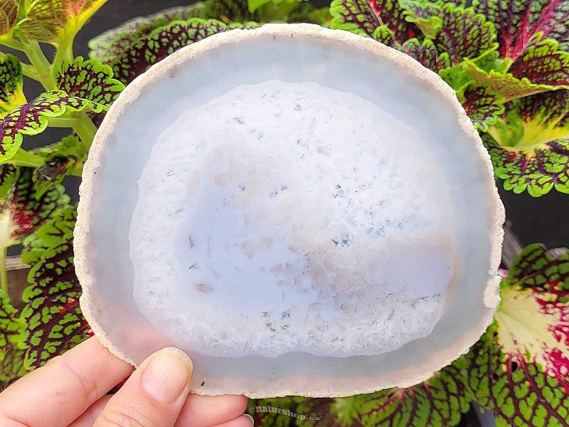 Agate natural slice from Brazil 219g