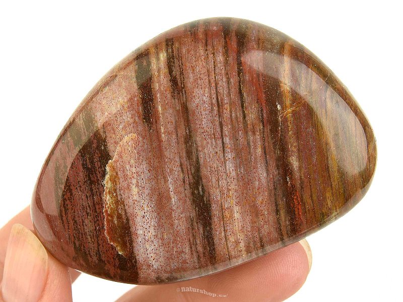 Smooth stone petrified wood (Madagascar) 137g