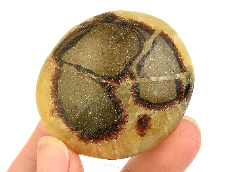 Smooth septaria stone from Madagascar 68g