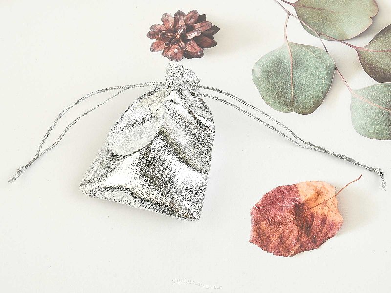 Silver gift bag 7 x 9 cm