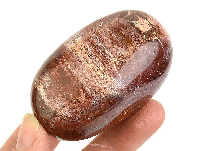 Hladký kámen zkamenělé dřevo (Madagaskar) 147g