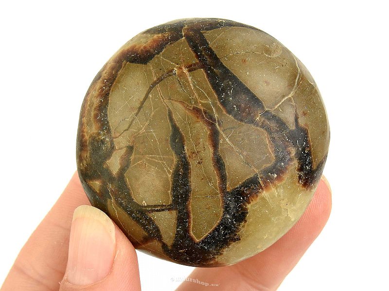 Smooth septaria stone from Madagascar 99g
