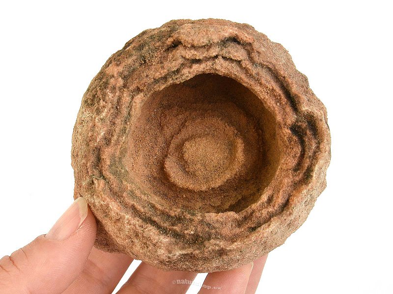 Fossil stromatolite (Morocco) 353g