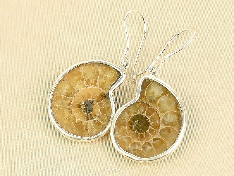 Ammonite earrings light Ag 925/1000 7.7g