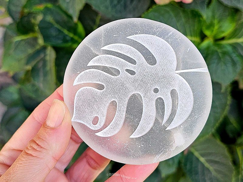 Selenite wheel with Monstera leaf approx. 8cm