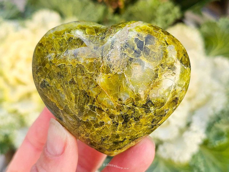 Green opal heart (Madagascar) 170g
