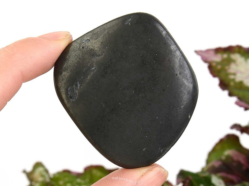 Smooth shungite stone (Russia 31g)