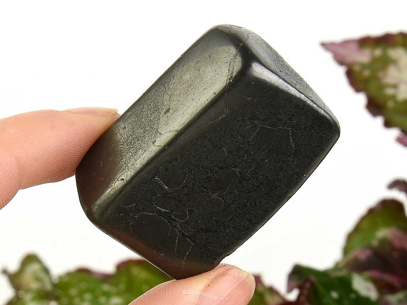 Smooth shungite stone (Russia) 31g