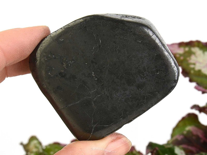 Smooth shungite stone from Russia 87g