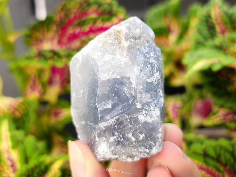 Celestine raw crystal 126g