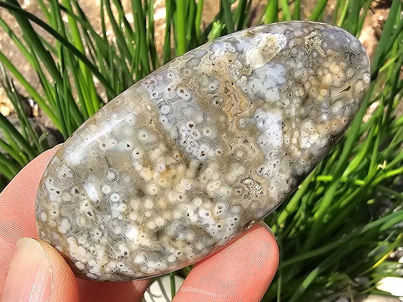 Jasper ocean smooth stone 79g