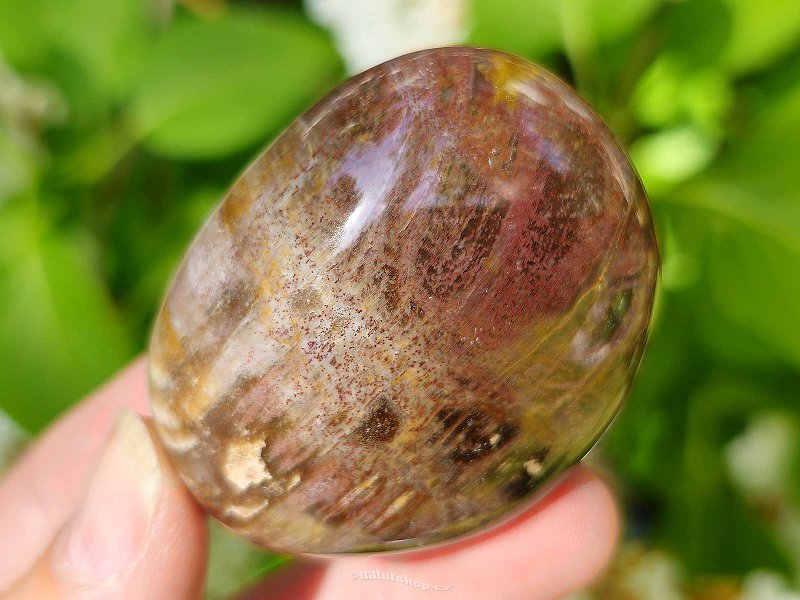 Petrified wood smooth stone from Madagascar 91g