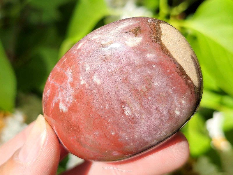 Zkamenělé dřevo hladký kámen z Madagaskaru 106g