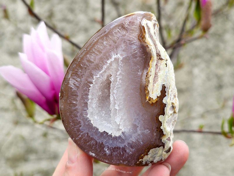 Geode with agate socket 291g (Brazil)