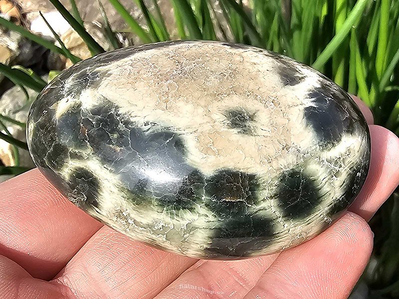 Jasper ocean smooth stone 107g