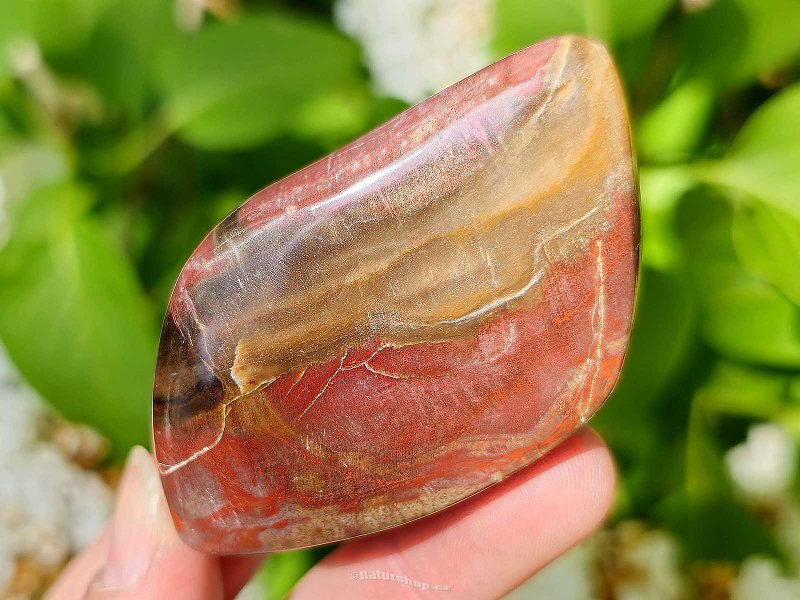 Petrified wood smooth stone from Madagascar 83g