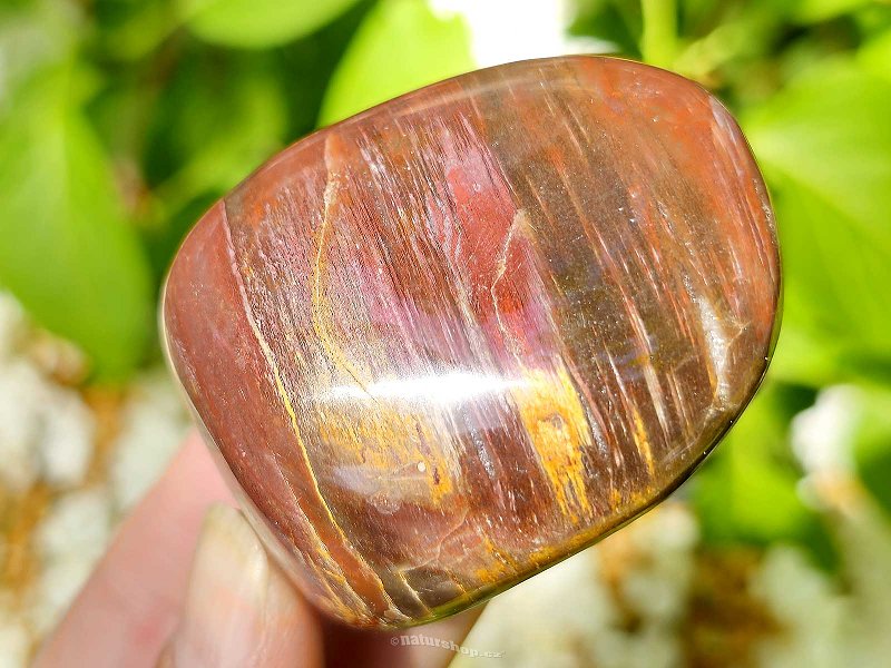 Petrified wood smooth stone from Madagascar (114g)
