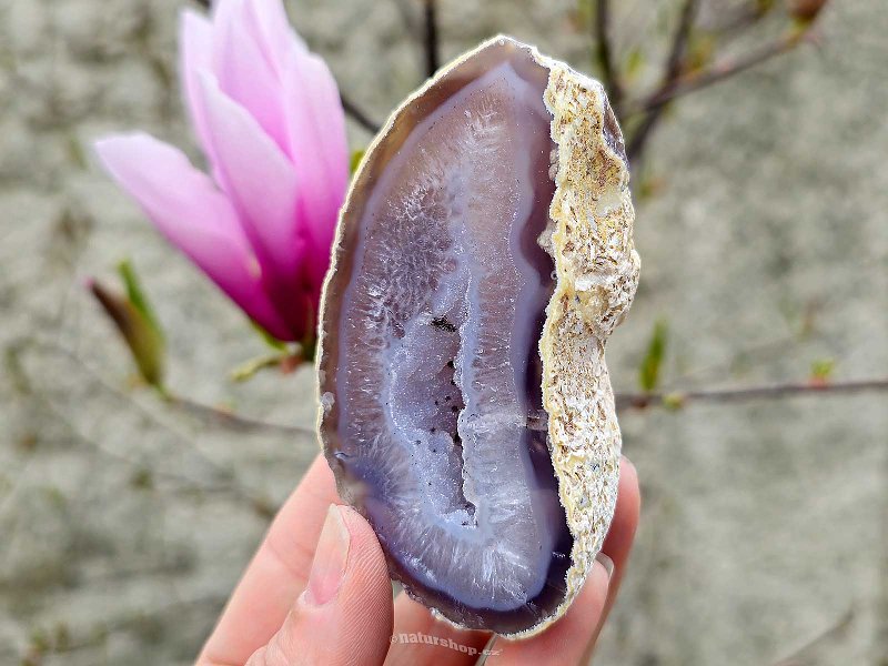 Natural Agate Geode with Cavity (192g)
