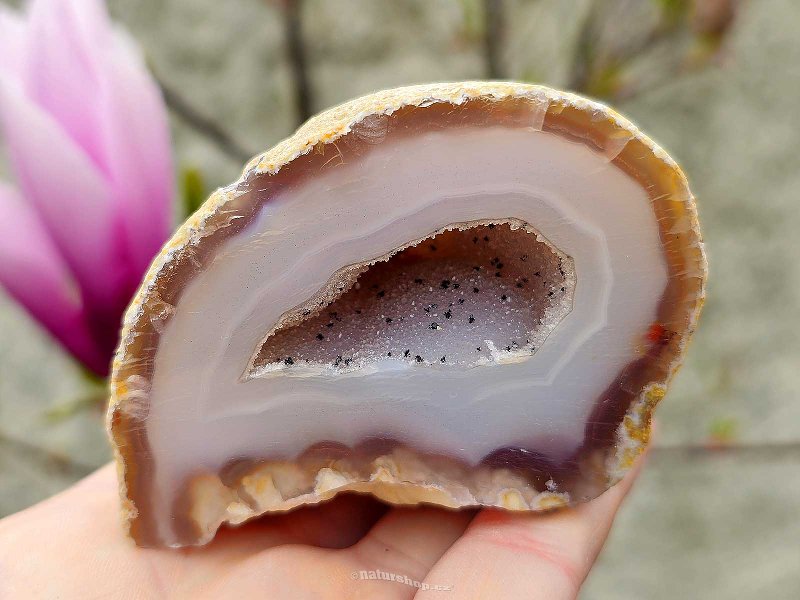 Geode agate natural with cavity Brazil (199g)