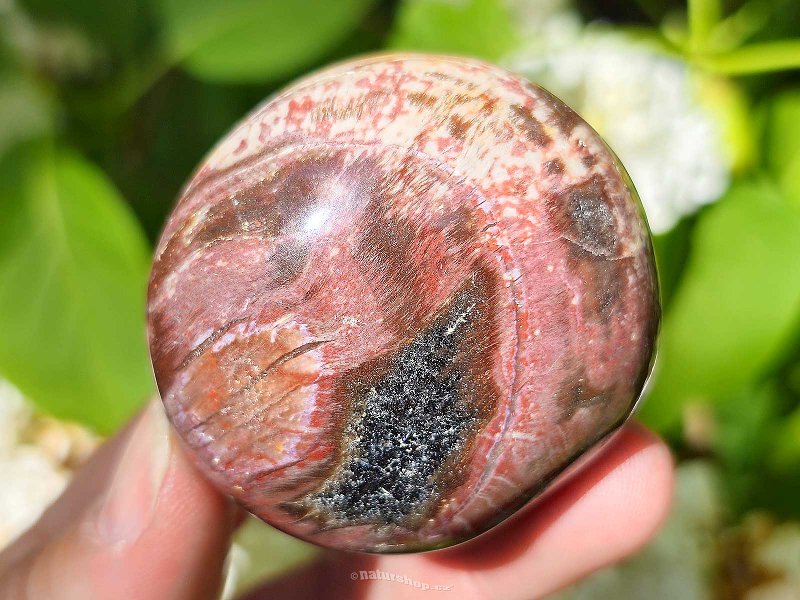 Petrified wood smooth stone from Madagascar 93g