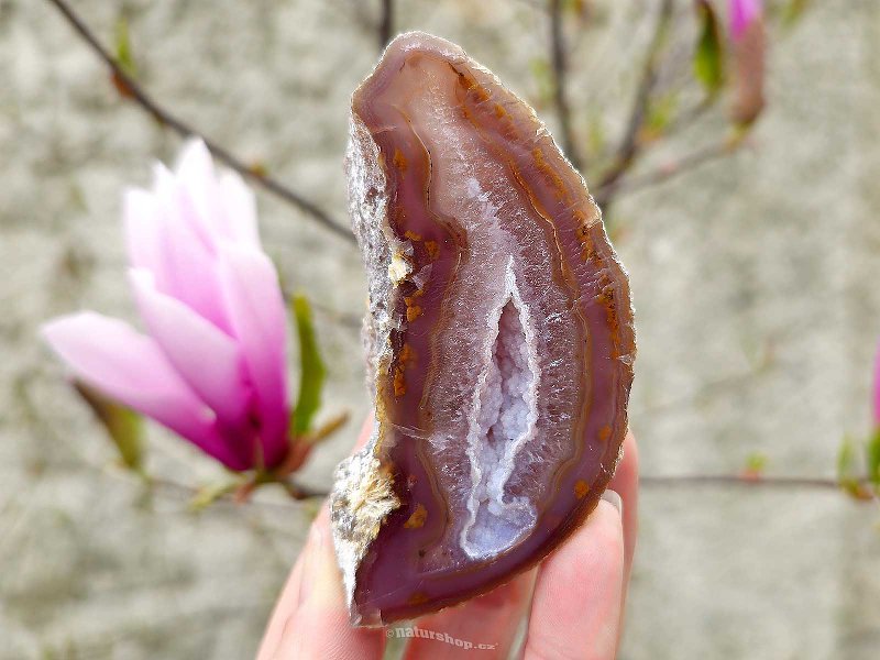Geode natural agate with cavity Brazil 202g