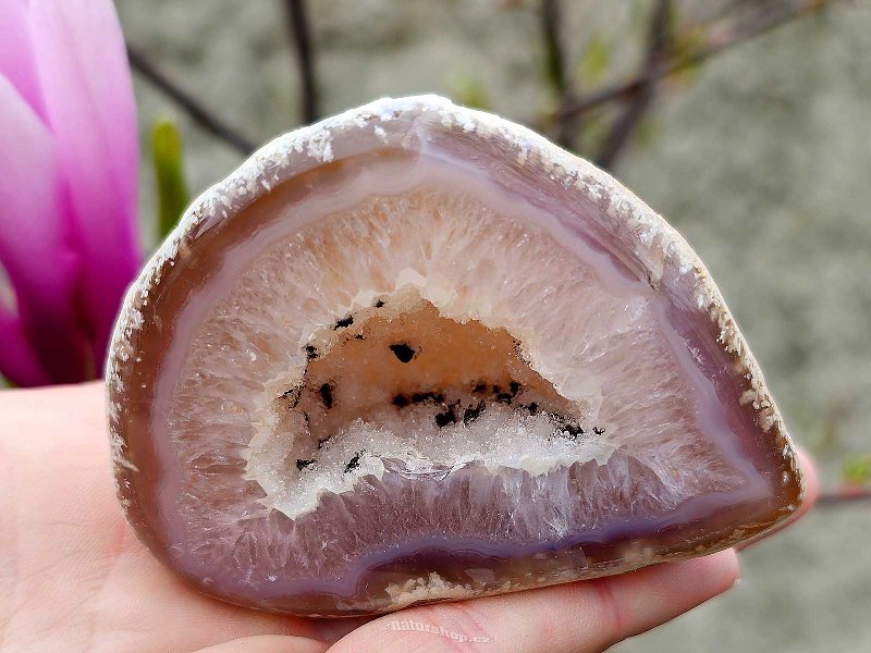 Natural Agate Geode with Cavity (218g)