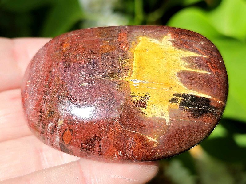 Petrified wood smooth stone from Madagascar 119g