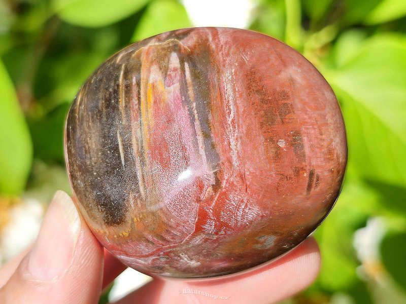 Zkamenělé dřevo hladký kámen z Madagaskaru 114g