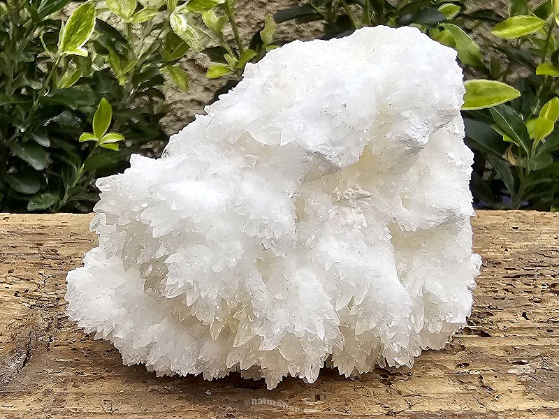 Aragonit bílá krystalová drúza z Mexika 190g
