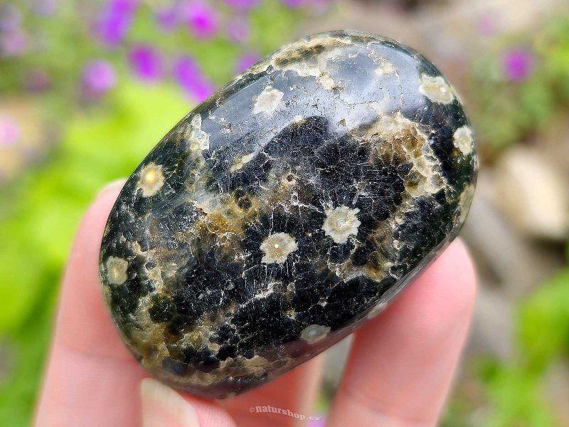 Polished ocean jasper stone 79g