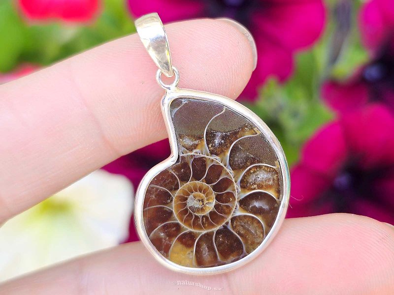 Silver pendant with ammonite Ag 925/1000 5.3g
