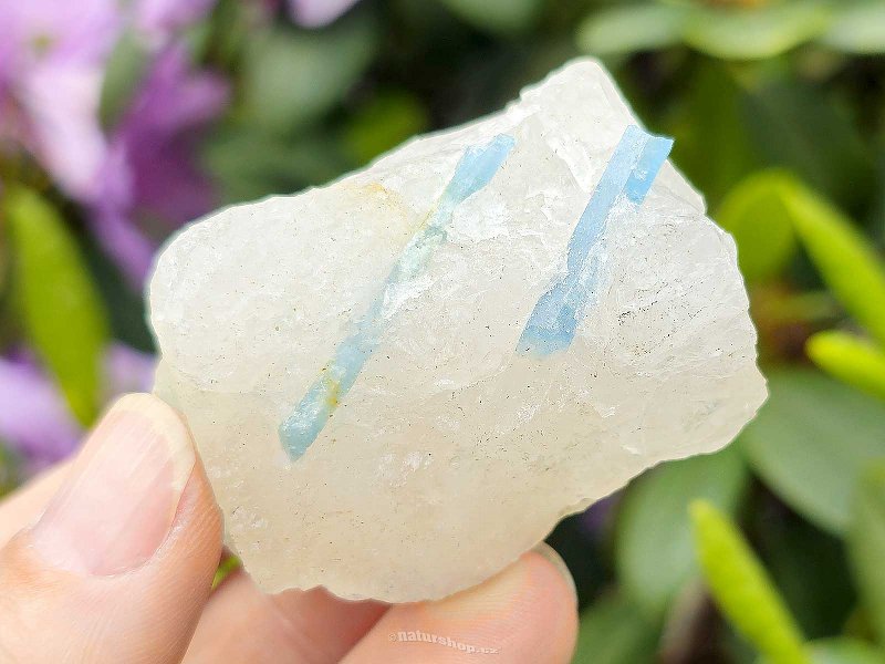 Aquamarines in crystal from Brazil 79g