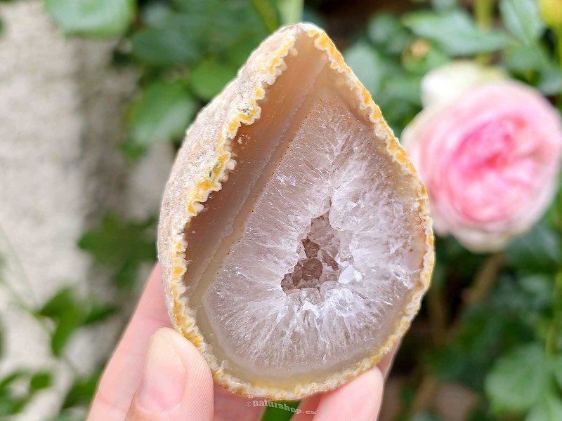 Agate Geode with Hollow 192g Brazil