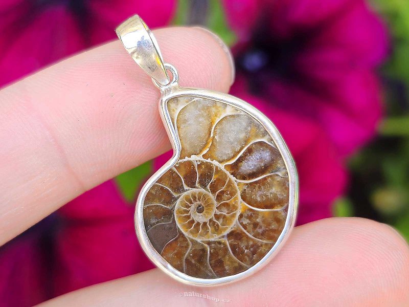 Silver pendant with ammonite Ag 925/1000 (4.1g)